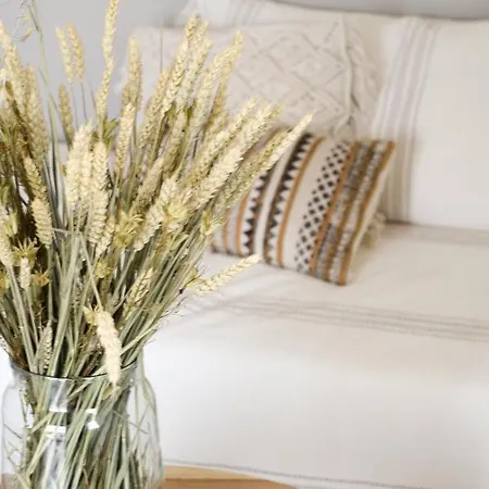 Casa-simplicity Gelder Zetten Lda