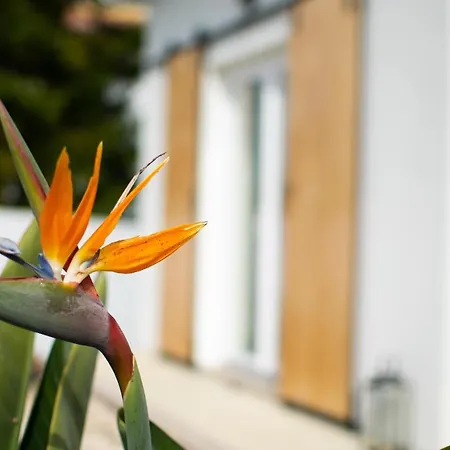 Casa-simplicity Gelder Zetten Lda Gracieira