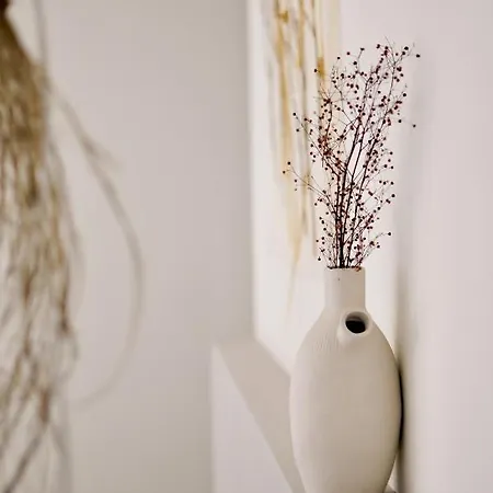 Casa-simplicity Gelder Zetten Lda Gracieira