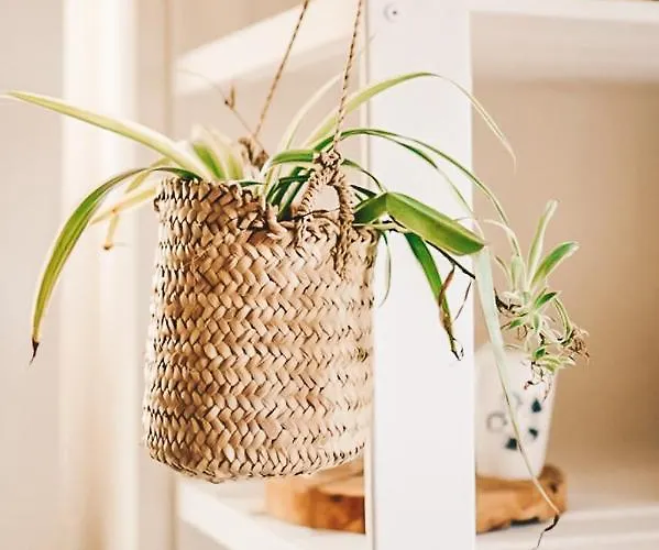 Alojamento de Acomodação e Pequeno-almoço Casa-simplicity Gelder Zetten Lda 3*