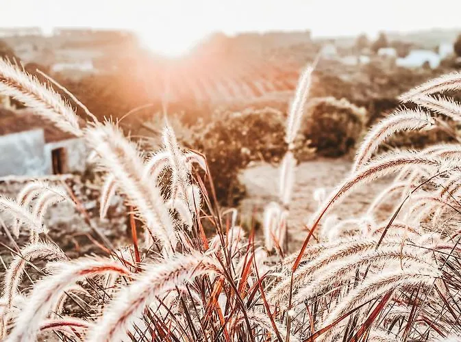 Casa-simplicity Gelder Zetten Lda فندق مبيت وإفطار Gracieira