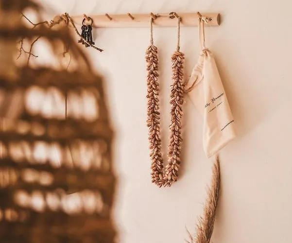 Alojamento de Acomodação e Pequeno-almoço Casa-simplicity Gelder Zetten Lda Gracieira