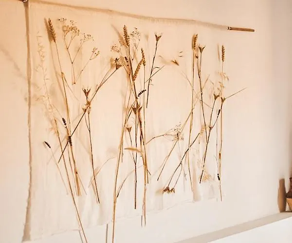 Casa-simplicity Gelder Zetten Lda فندق مبيت وإفطار 3*