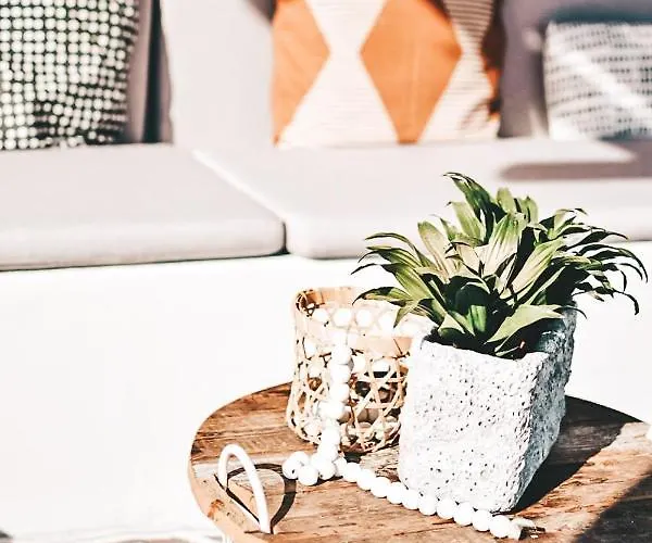 Alojamento de Acomodação e Pequeno-almoço Casa-simplicity Gelder Zetten Lda Gracieira